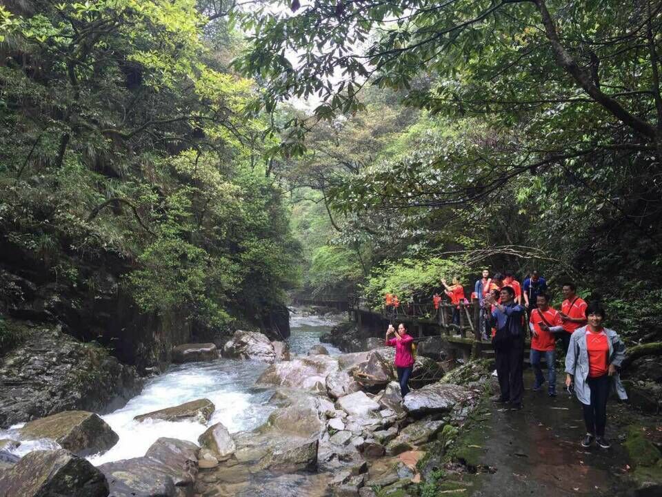 阳春好时节 邀友踏清风