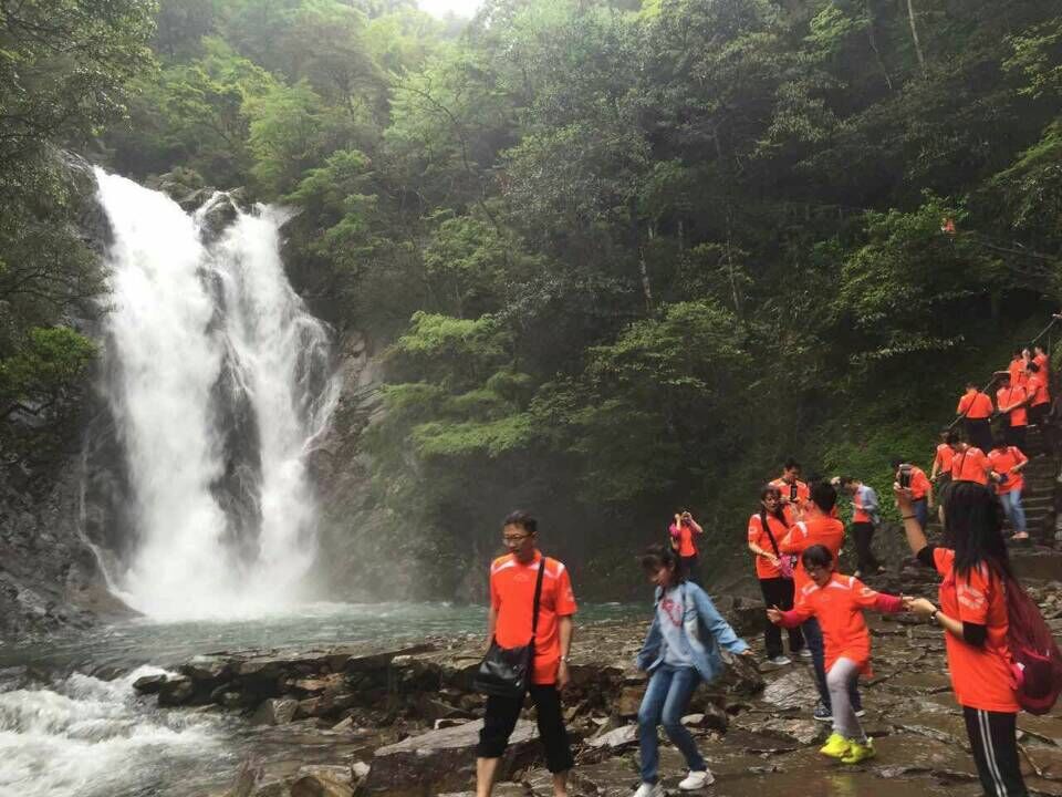 阳春好时节 邀友踏清风